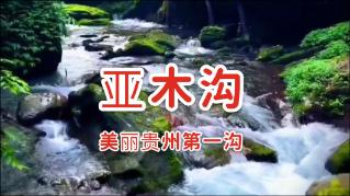 篮球全明星赛2
